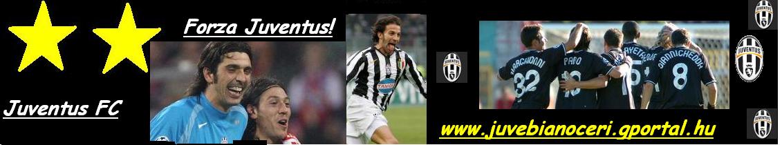 Forza Juve!Solo la JUVE e GRANDE!Juventus FOREVER!!!